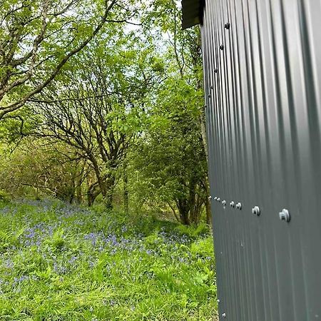 Cornwall Woodland Shepherd'S Hut - Dennis Hut ボドミン エクステリア 写真