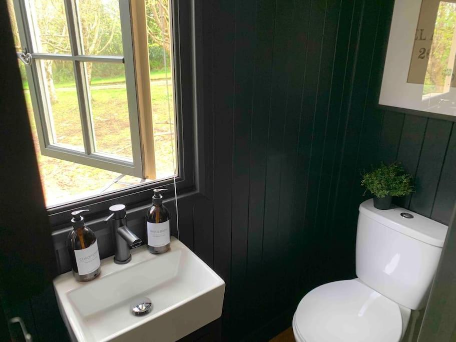 Cornwall Woodland Shepherd'S Hut - Dennis Hut ボドミン エクステリア 写真