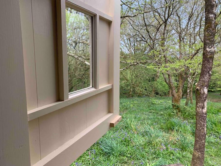 Cornwall Woodland Shepherd'S Hut - Dennis Hut ボドミン エクステリア 写真