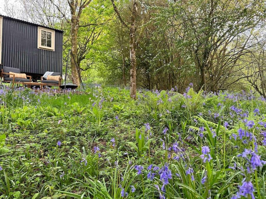 Cornwall Woodland Shepherd'S Hut - Dennis Hut ボドミン エクステリア 写真