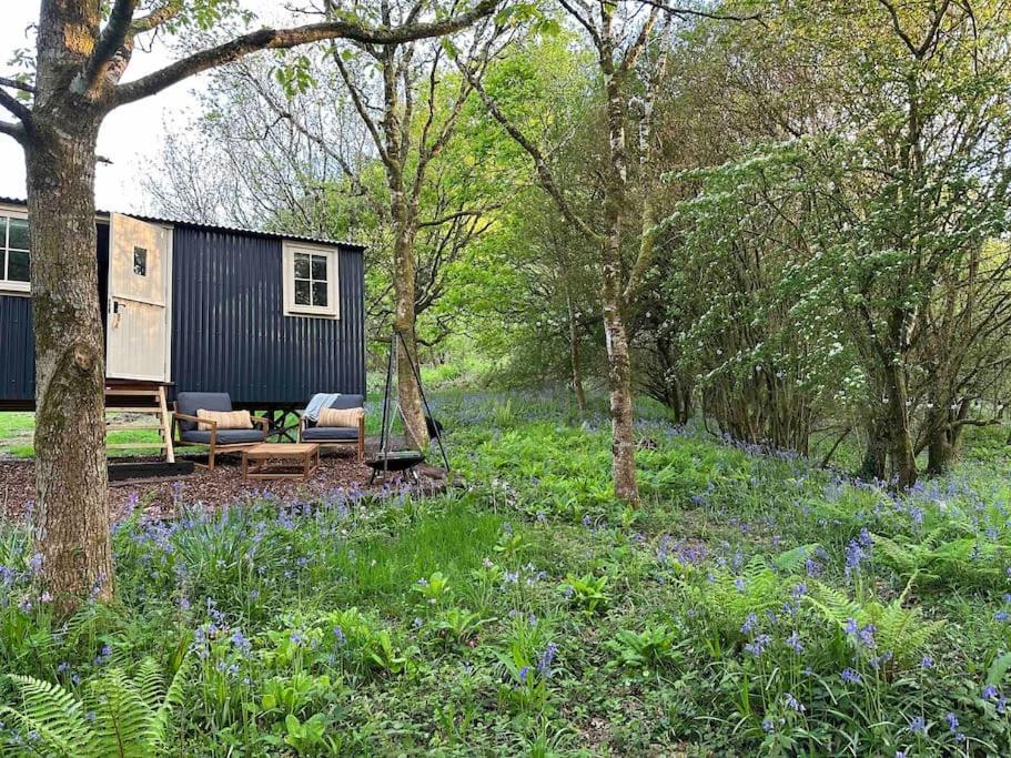 Cornwall Woodland Shepherd'S Hut - Dennis Hut ボドミン エクステリア 写真