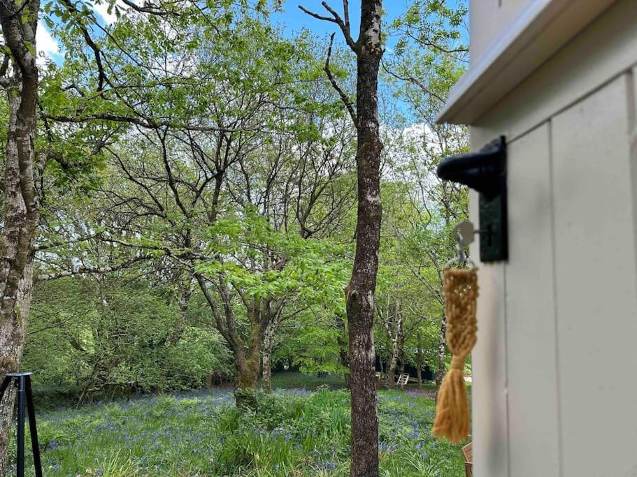 Cornwall Woodland Shepherd'S Hut - Dennis Hut ボドミン エクステリア 写真