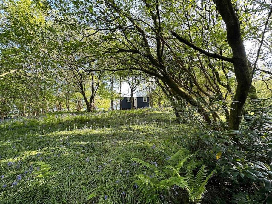 Cornwall Woodland Shepherd'S Hut - Dennis Hut ボドミン エクステリア 写真