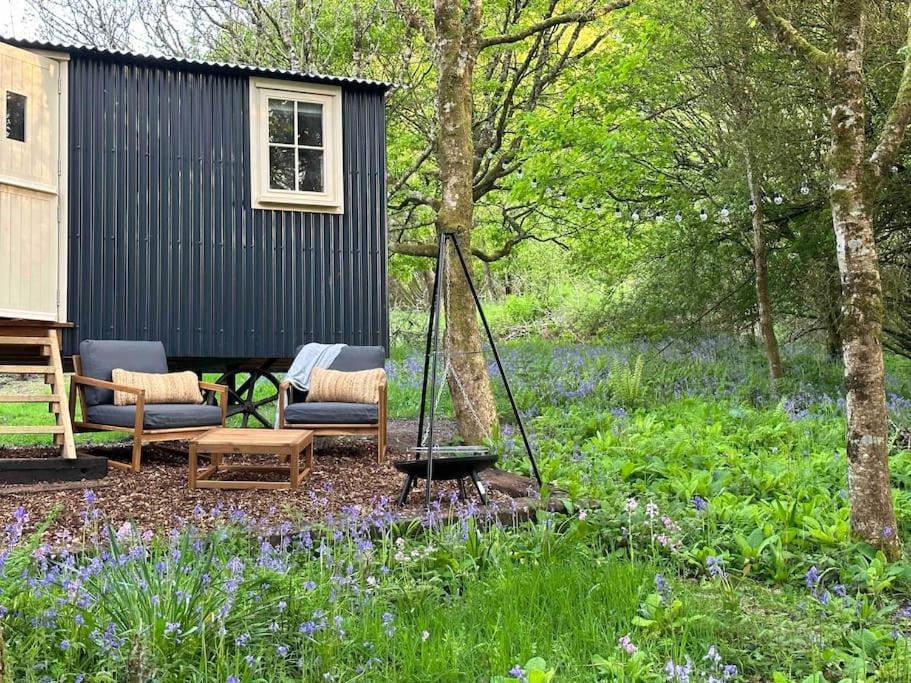 Cornwall Woodland Shepherd'S Hut - Dennis Hut ボドミン エクステリア 写真